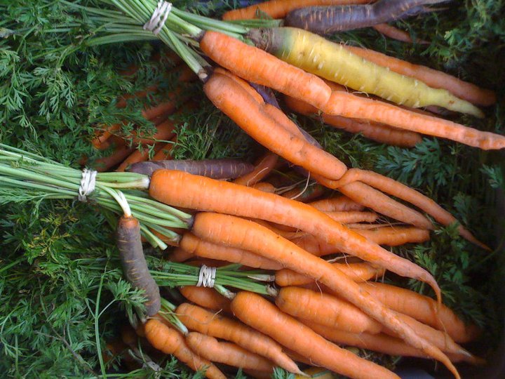 Stanton Street CSA opens registration for summer amNewYork