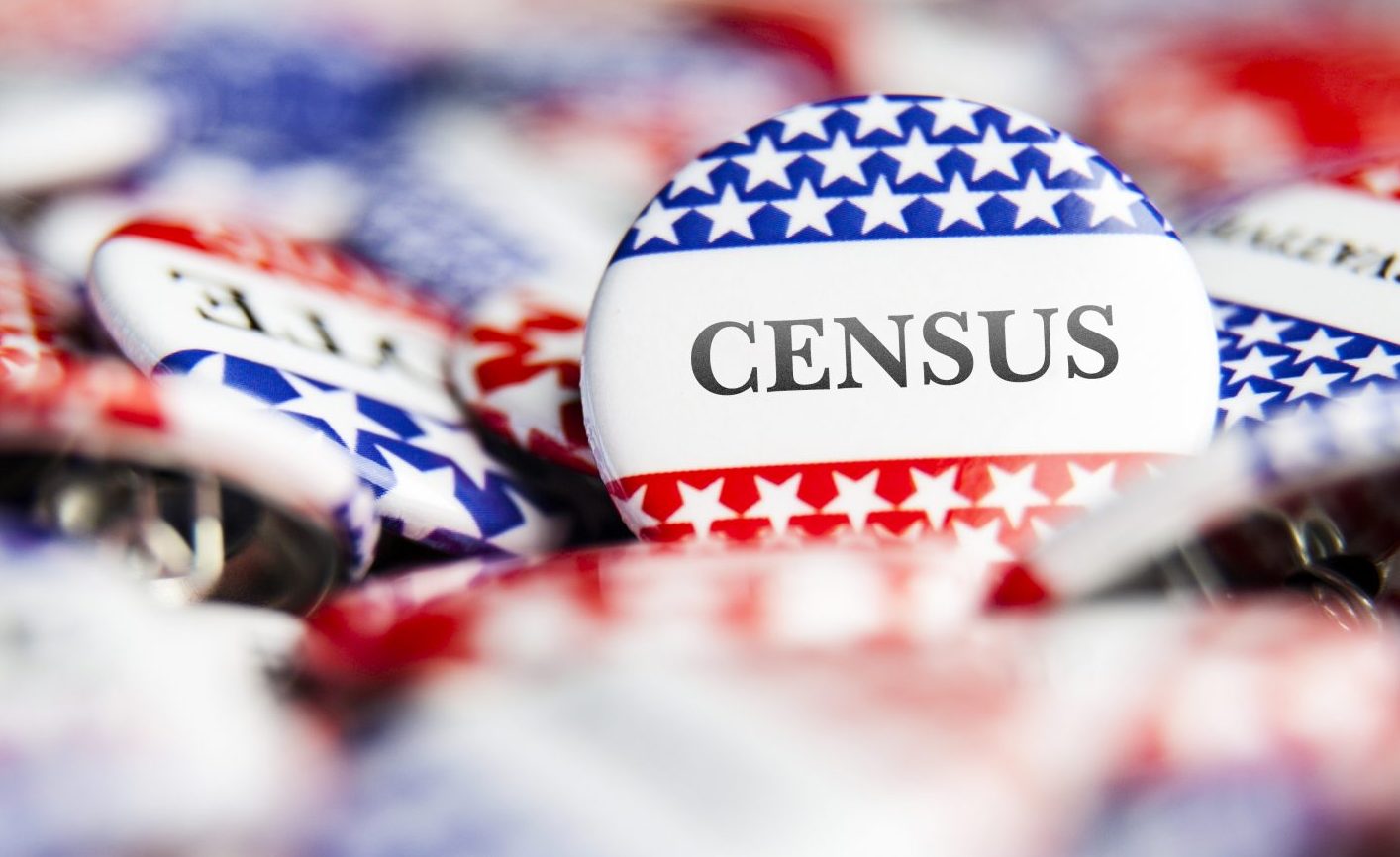 Political Button – Census