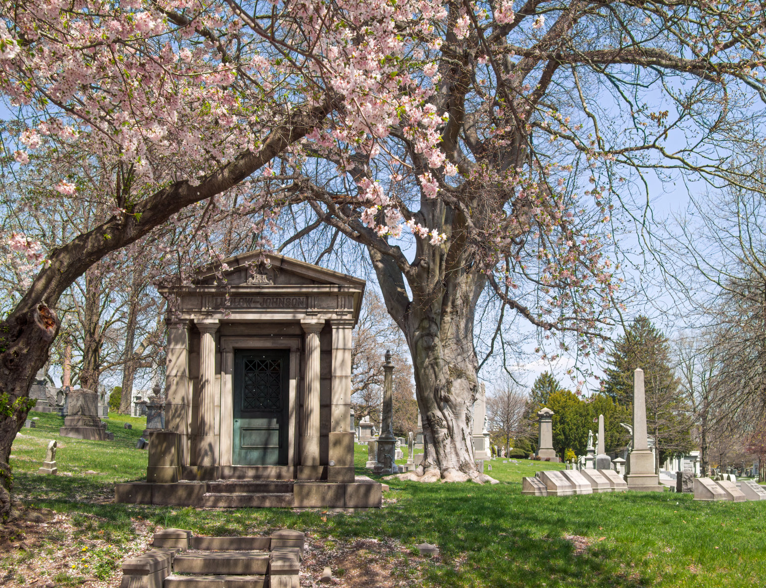 Brooklyn cemeteries struggle to keep up with increased deaths caused by