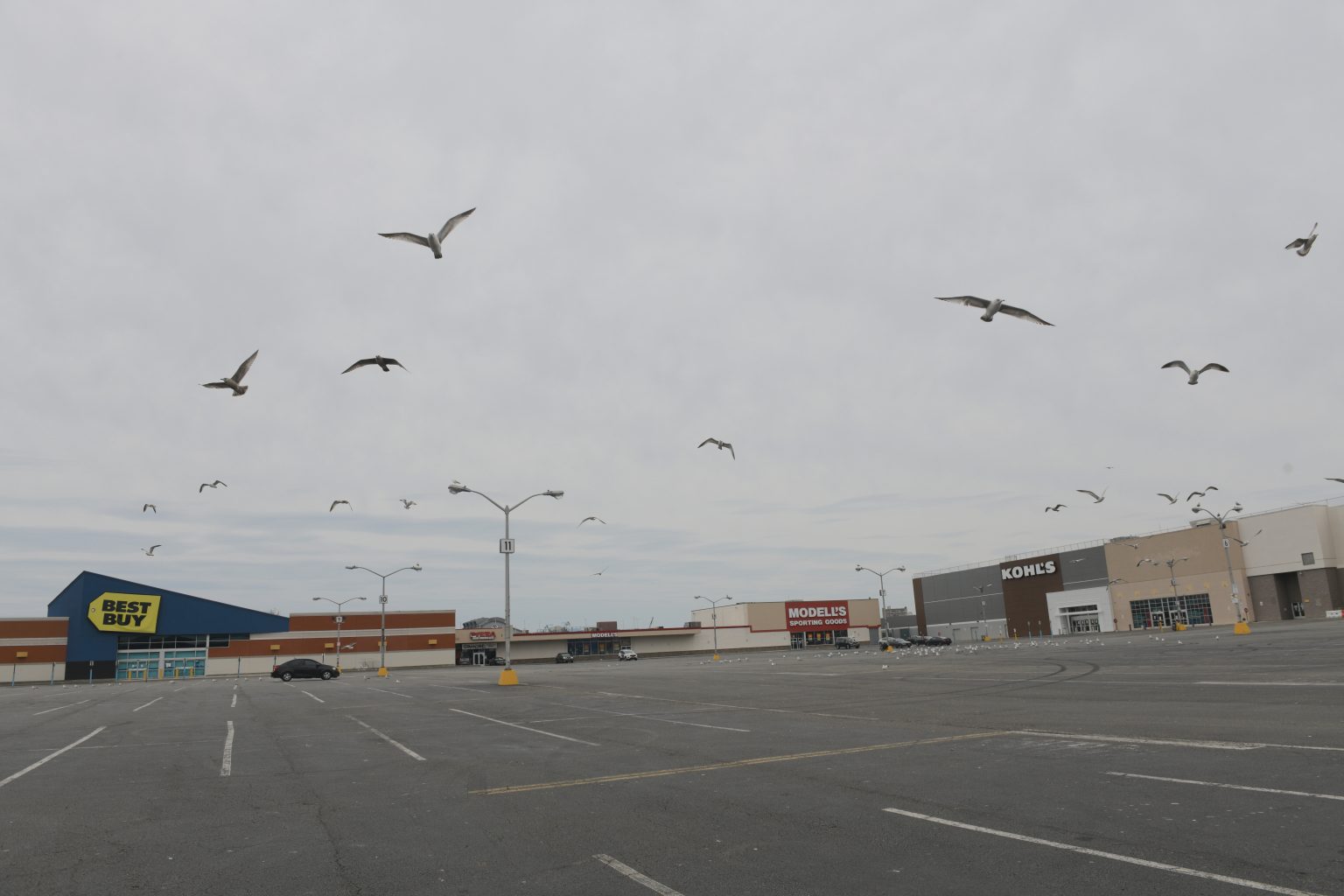 Scenes of an empty New York 'For rent' signs, deserted
