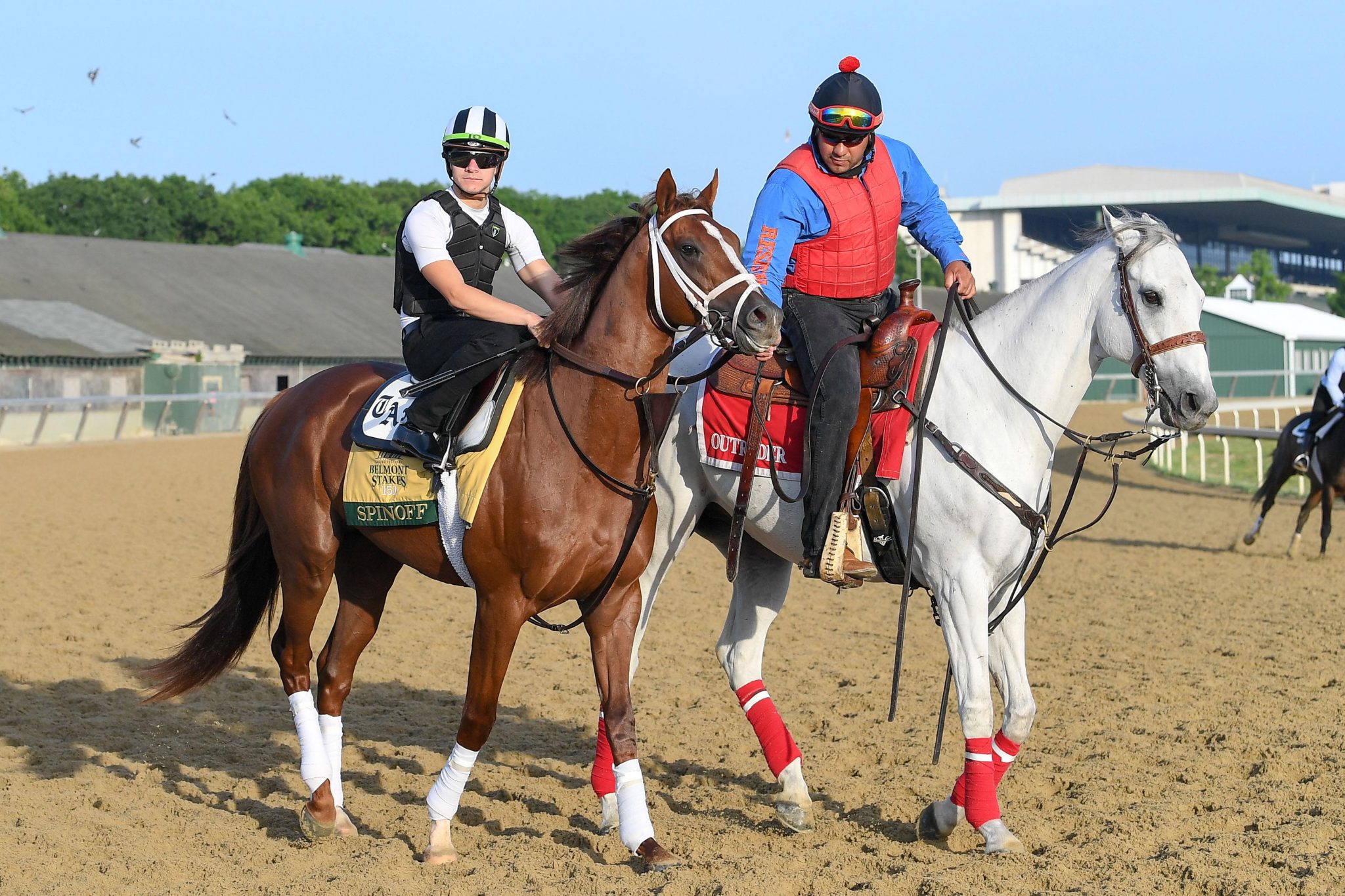 Horse racing in New York approaching the restarting gate amid pandemic