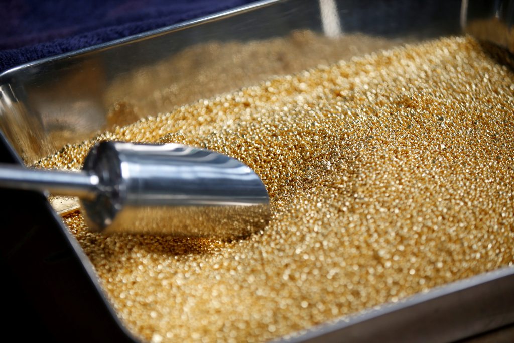 FILE PHOTO: Gold grain is seen before being melted into 1kg gold bars during a refining process at AGR (African Gold Refinery) in Entebbe