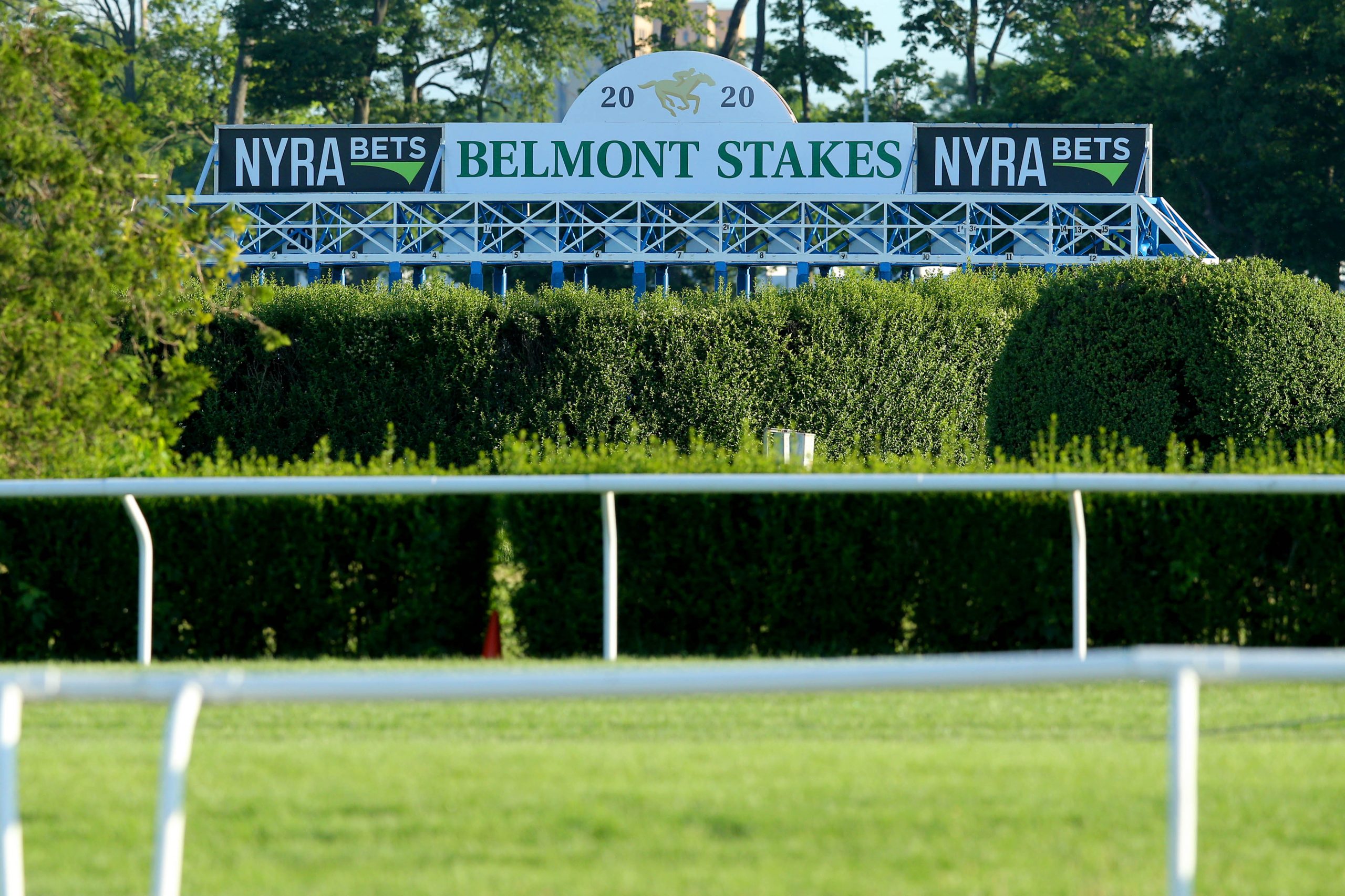 2020 Belmont Stakes preview Get to know the field of horses amNewYork