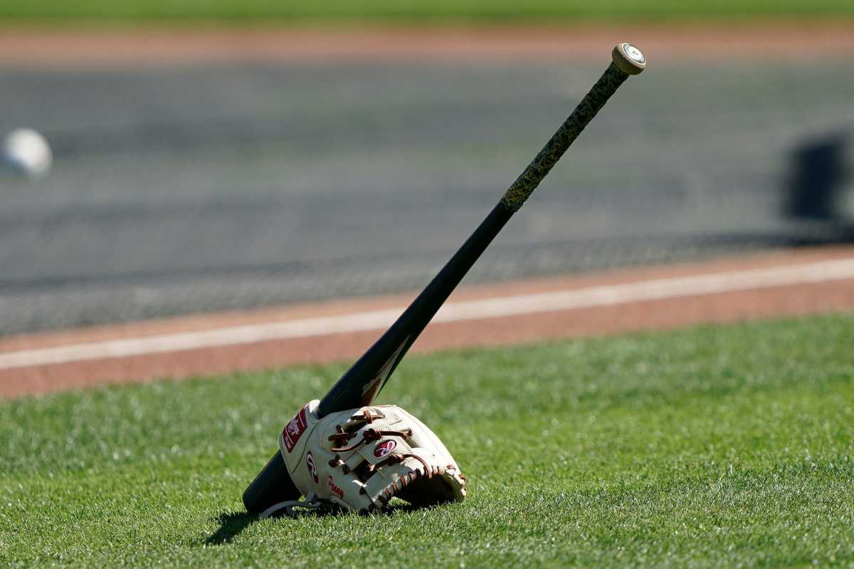 Generic baseball glove bat