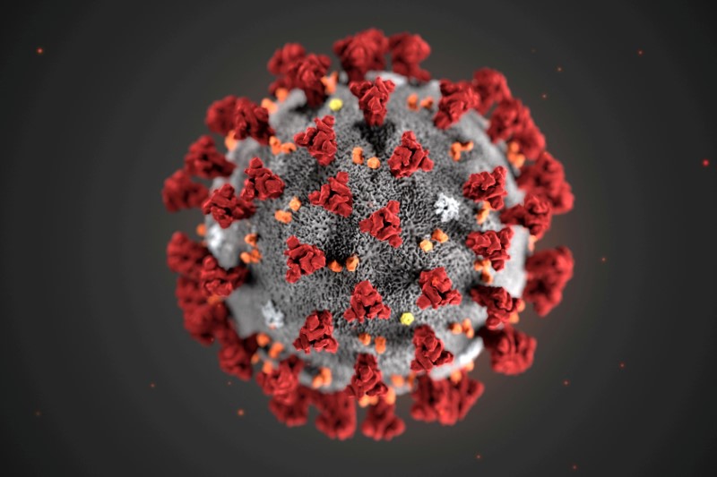 FILE PHOTO: An illustration, created at the Centers for Disease Control and Prevention (CDC), depicts the 2019 Novel Coronavirus