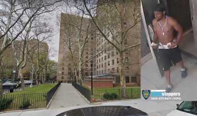 79 pct robbery