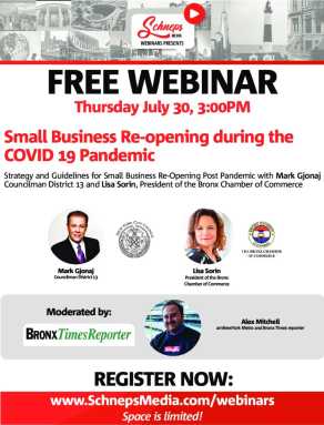 BronxWebinar_WIP3-pdf-913×1200
