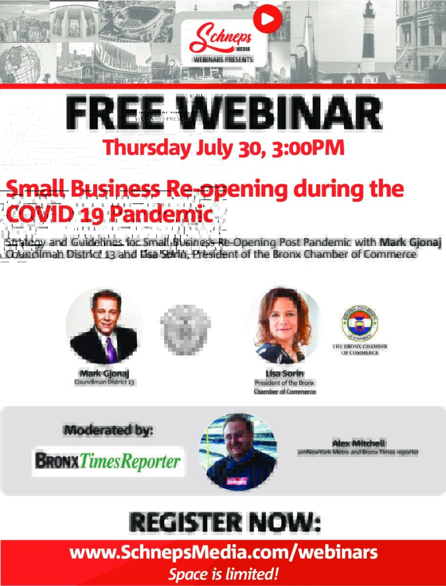 BronxWebinar_WIP3-pdf-913×1200