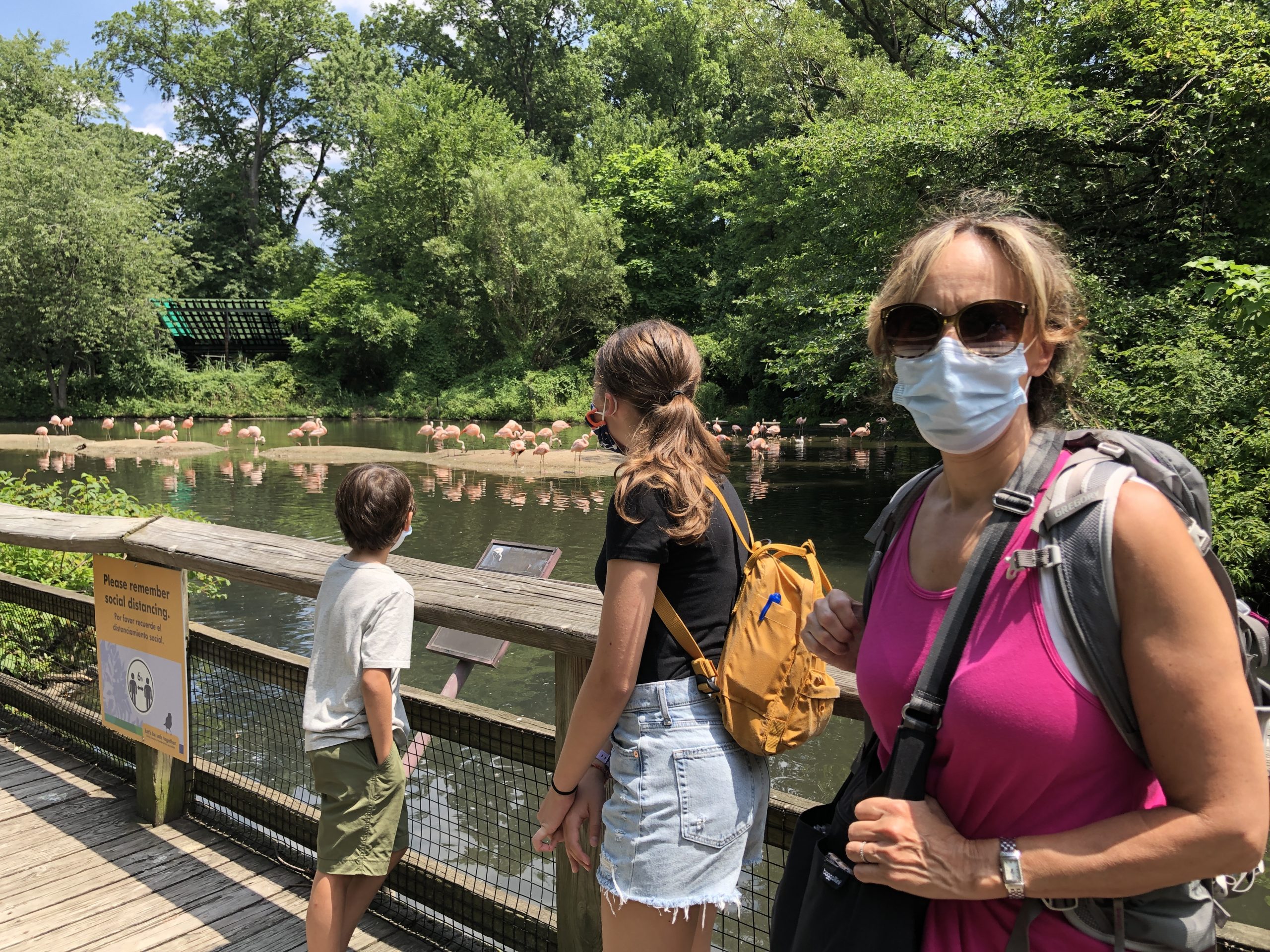 Bronx Zoo Goers Eager For Socially Distant Safari Amnewyork