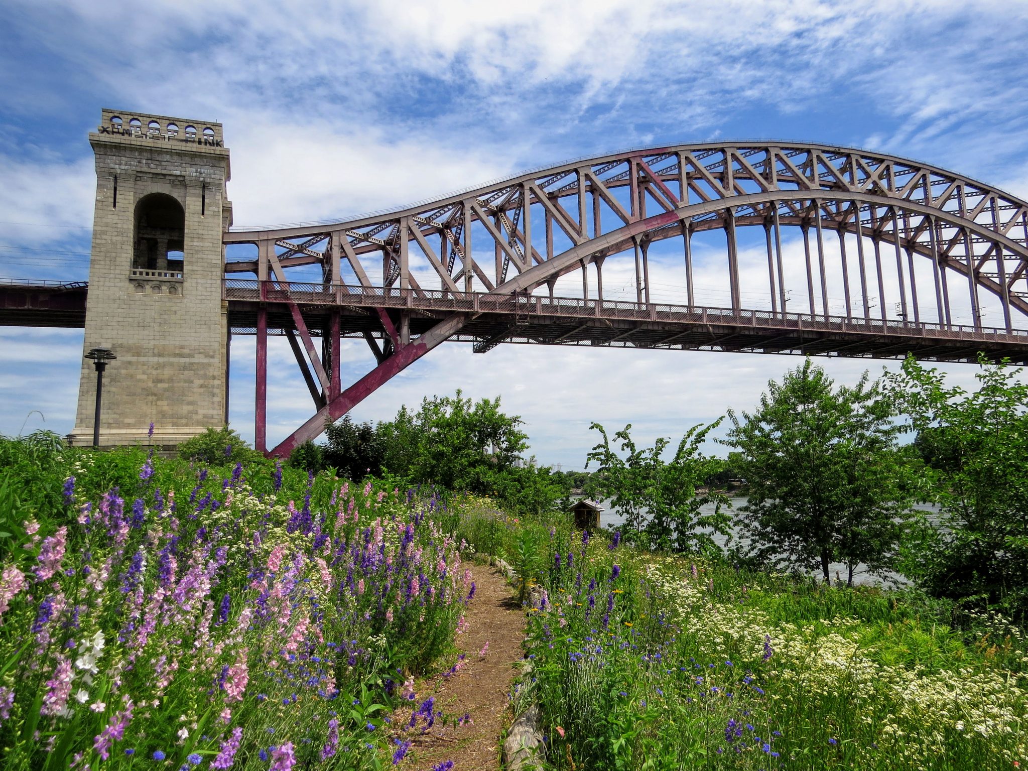 Randall’s Island Park offers an escape from quarantine blues amNewYork