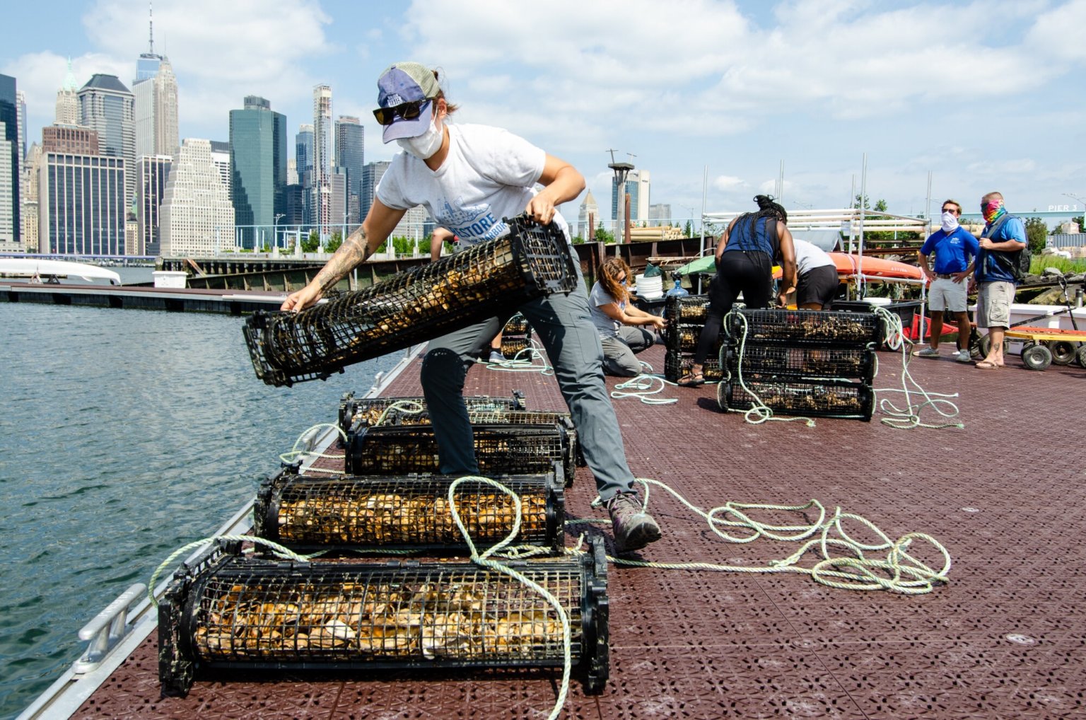 Billion Oyster Project installs shellfish in the waterway at Brooklyn