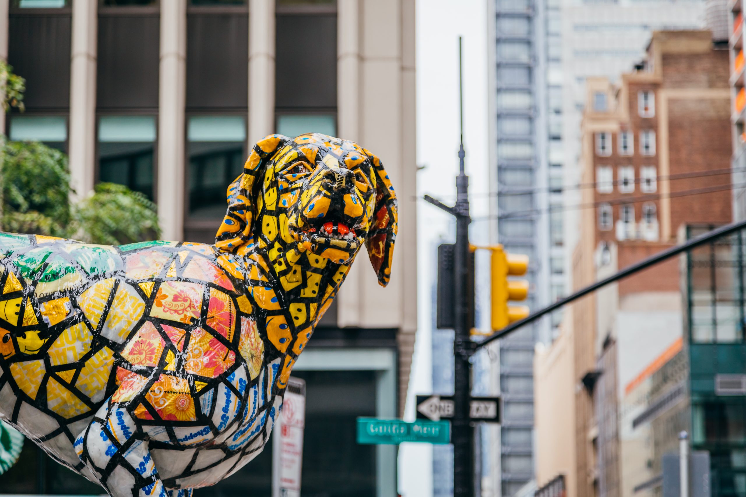 A6A0071-scaled.jpg?quality=51