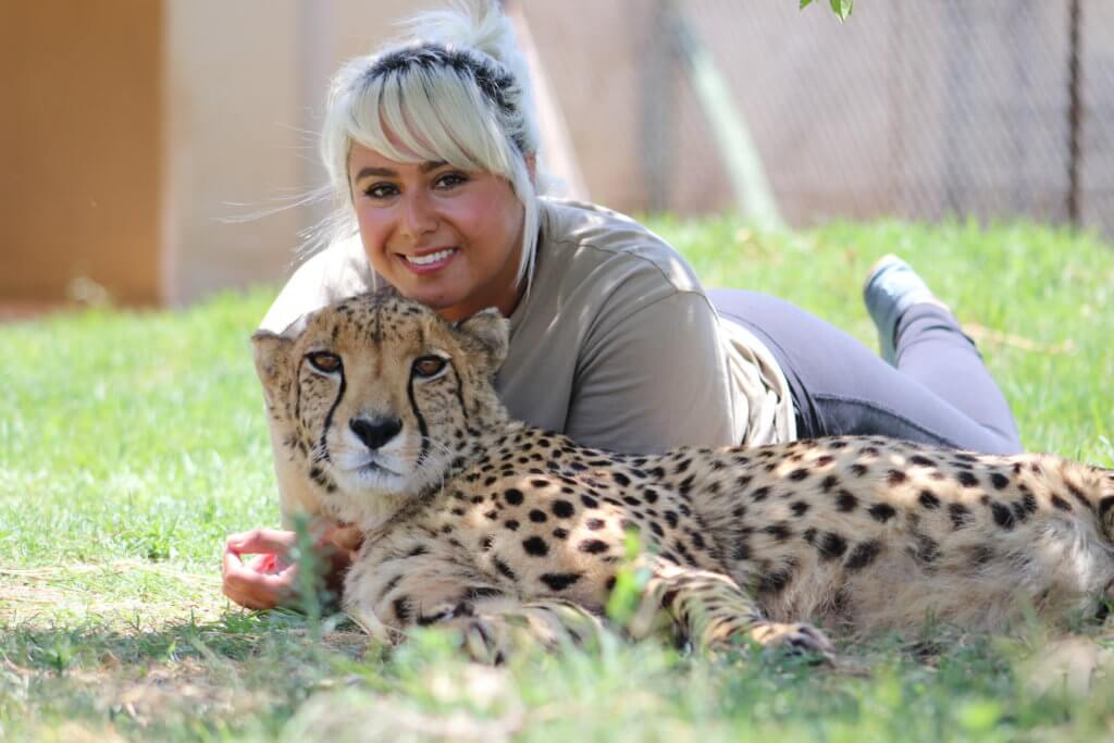 cheetah-1024×683