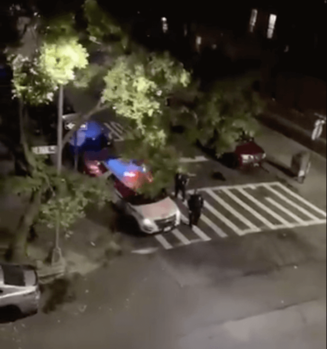nypd_trump