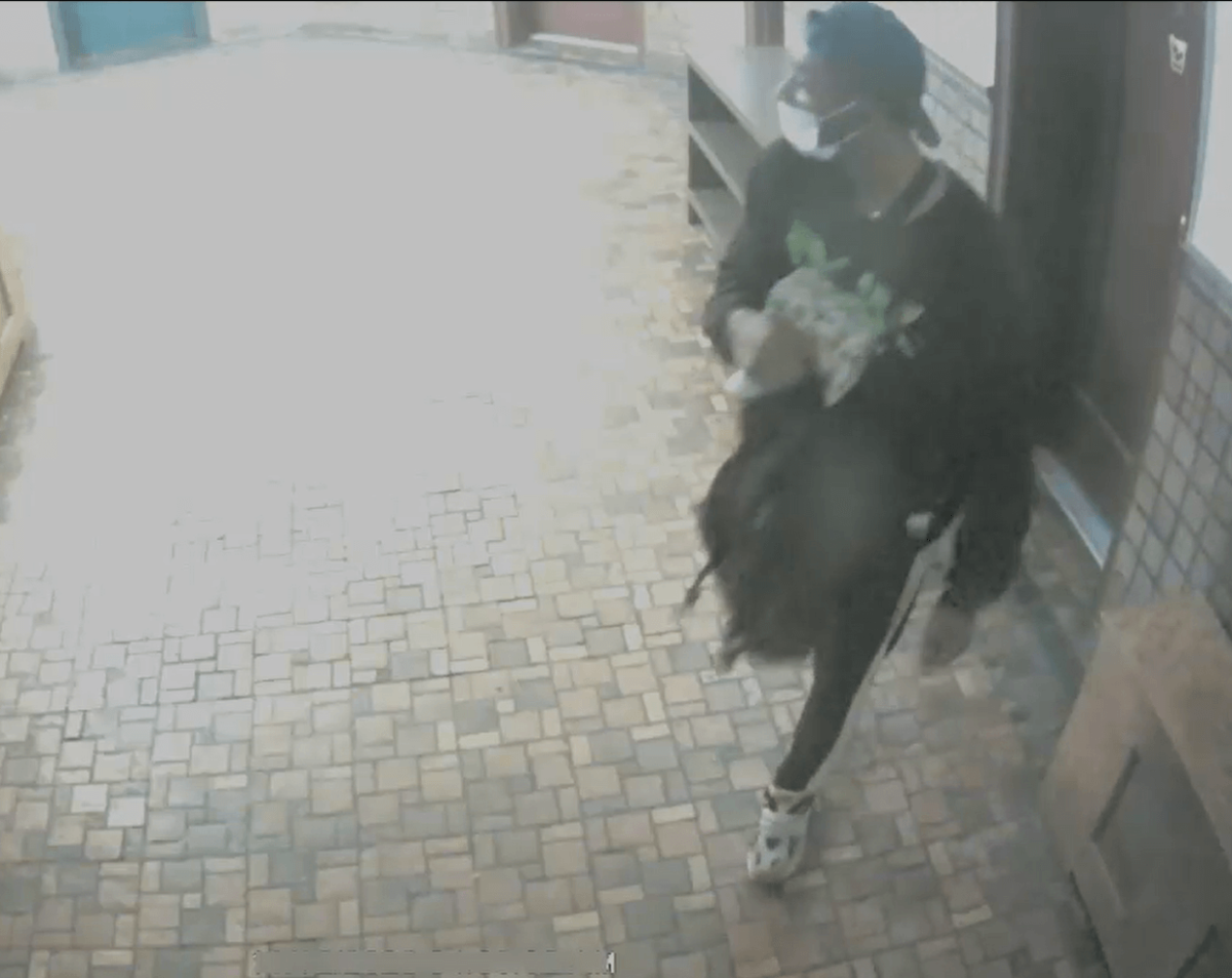 6 precinct burglary