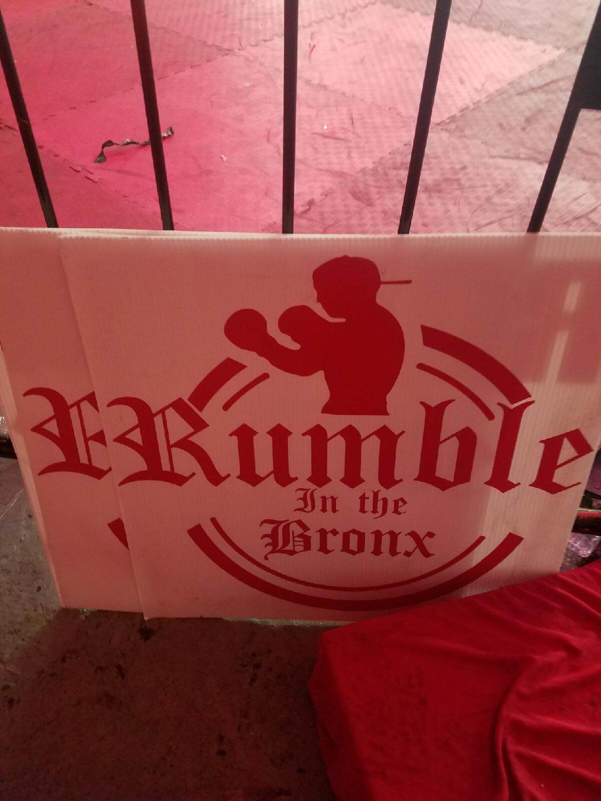 View Rumble In The Bronx Fight Club 2020 Pics