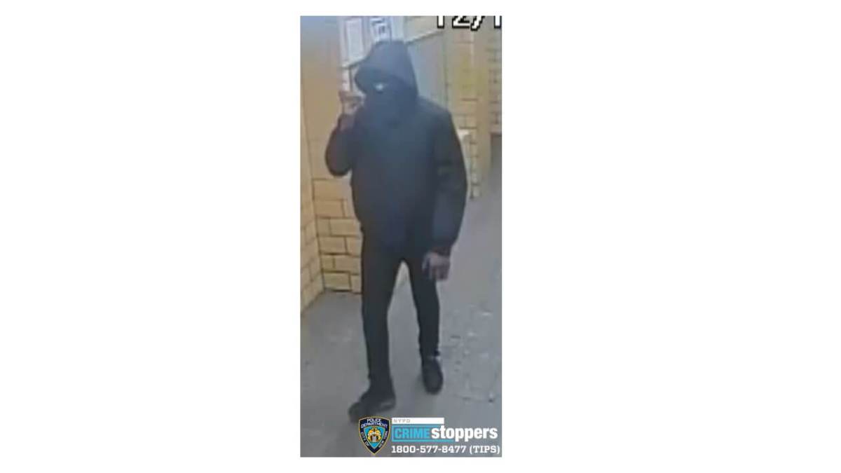 3733-20 Brooklyn Robbery Pattern Photo