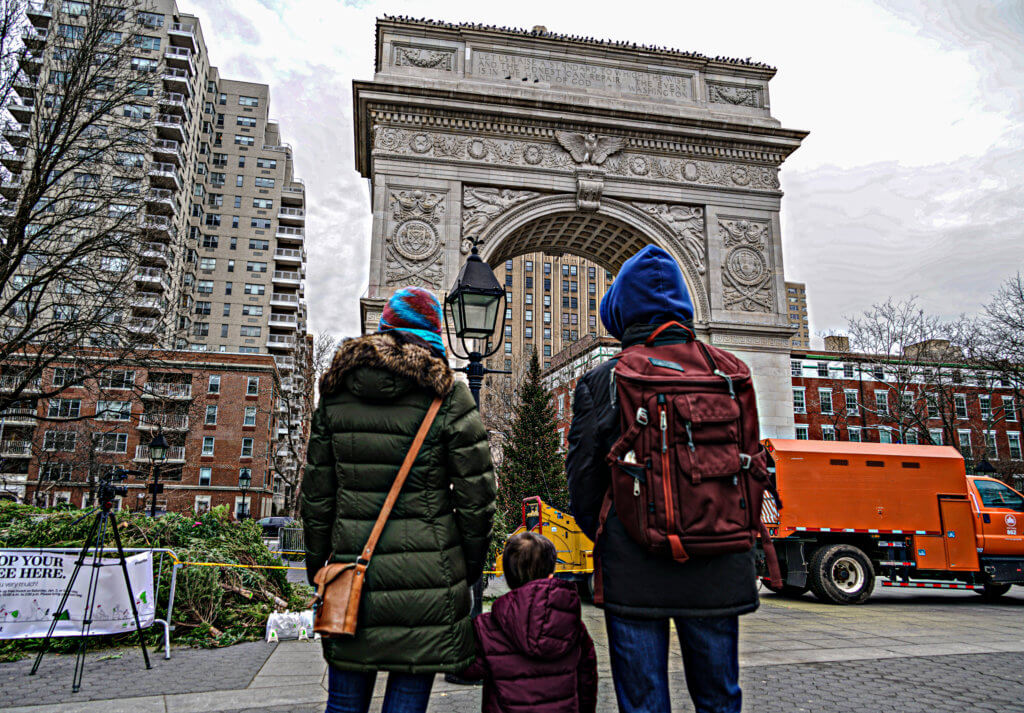 It’s mulching time at NYC Parks as New Yorkers toss their Christmas trees to the curb 3