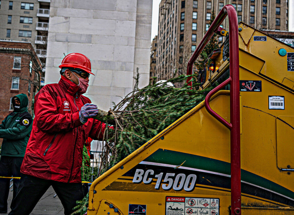 It’s mulching time at NYC Parks as New Yorkers toss their Christmas