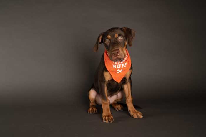 Team Ruff