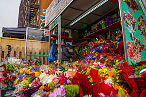 Valentine's Day and restaurants and happenings