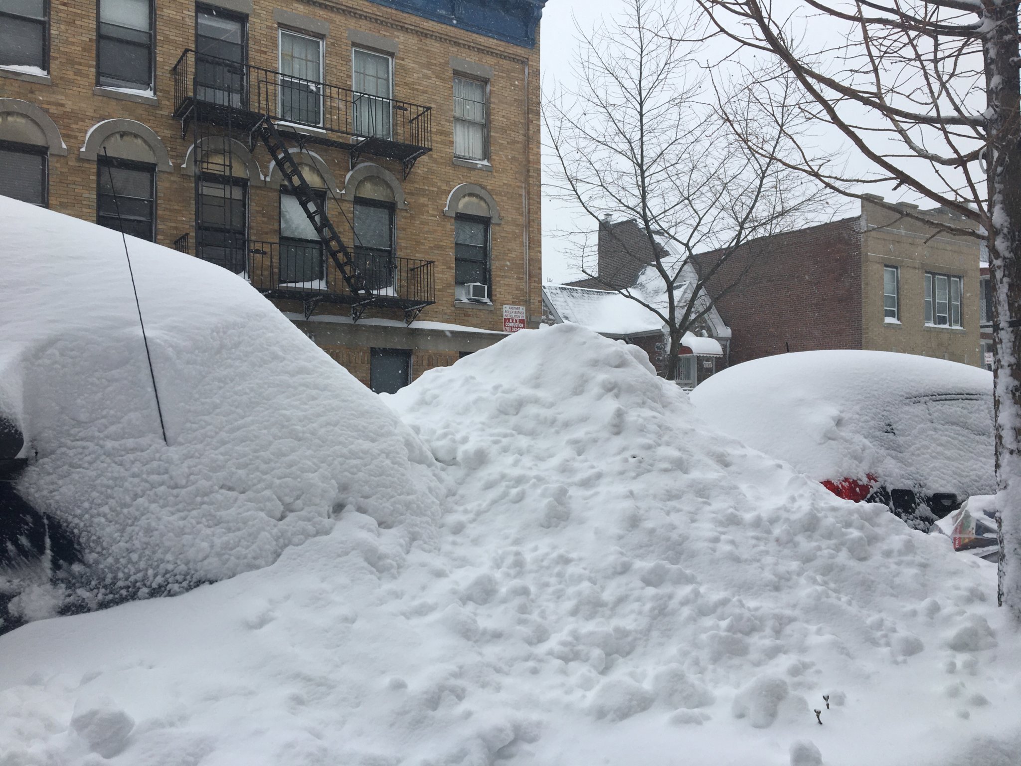 PHOTOS Nor’easter drops several inches of snow across New York City