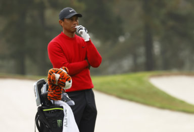 Tiger Woods