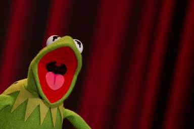 Muppet Kermit the Frog poses during a photocall promoting the movie The Muppets in Berlin