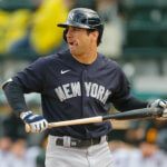 Mike Tauchman Yankees