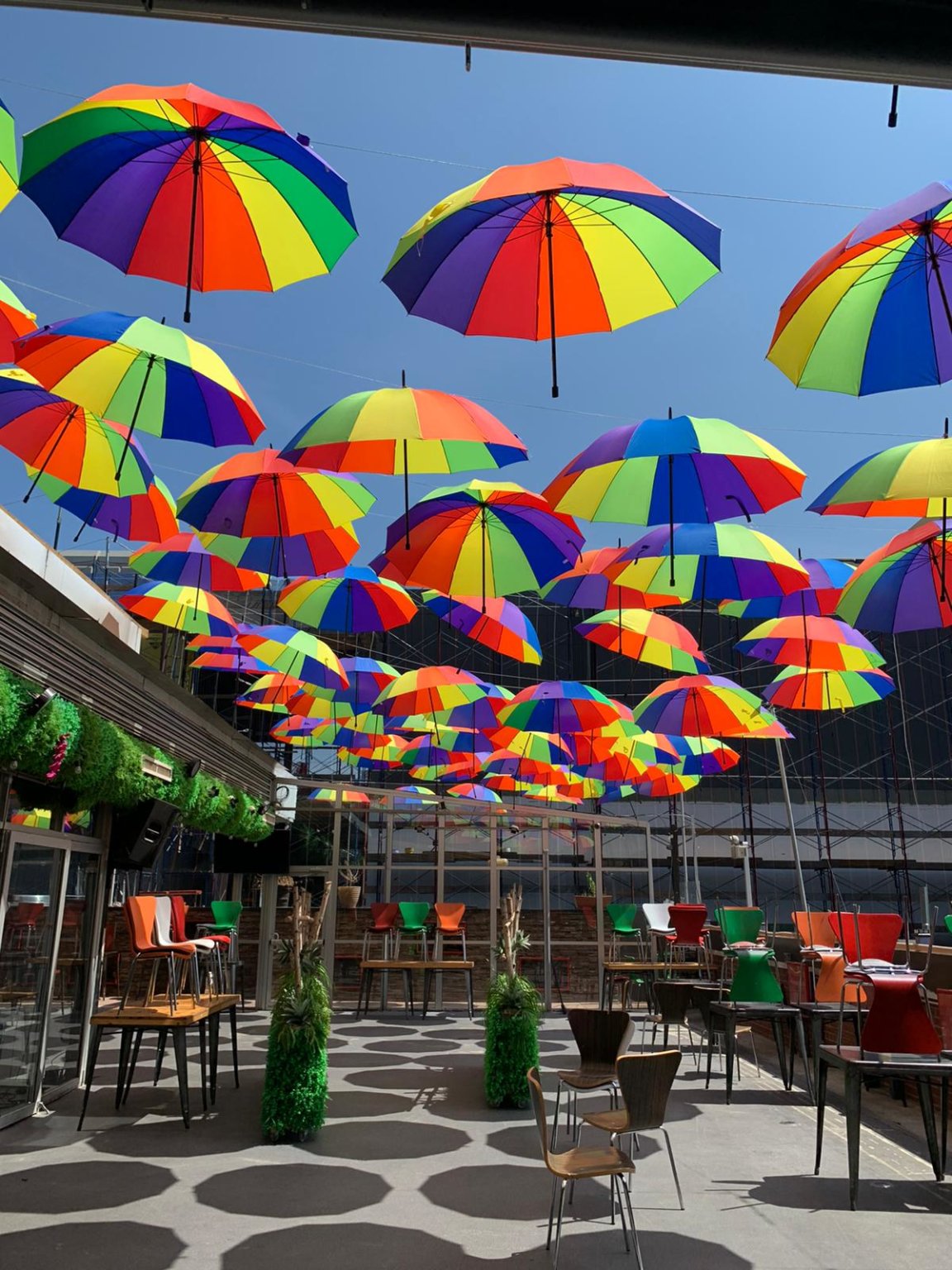 Small Business Survivors Manhattan’s Cantina Rooftop diners