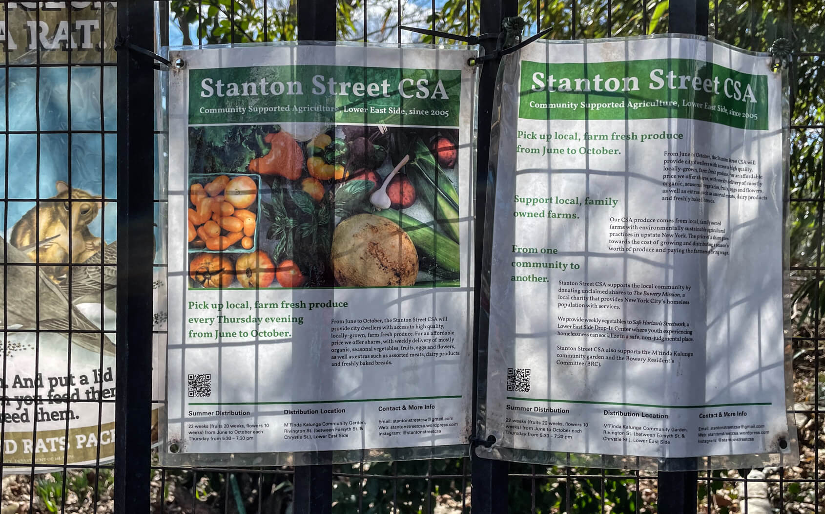 Seasonal local produce — planning now for fresh summer eating amNewYork