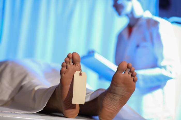 Bound, gagged body found rotting under the Coney Island Boardwalk 5