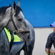 Essential Quality Kentucky Derby