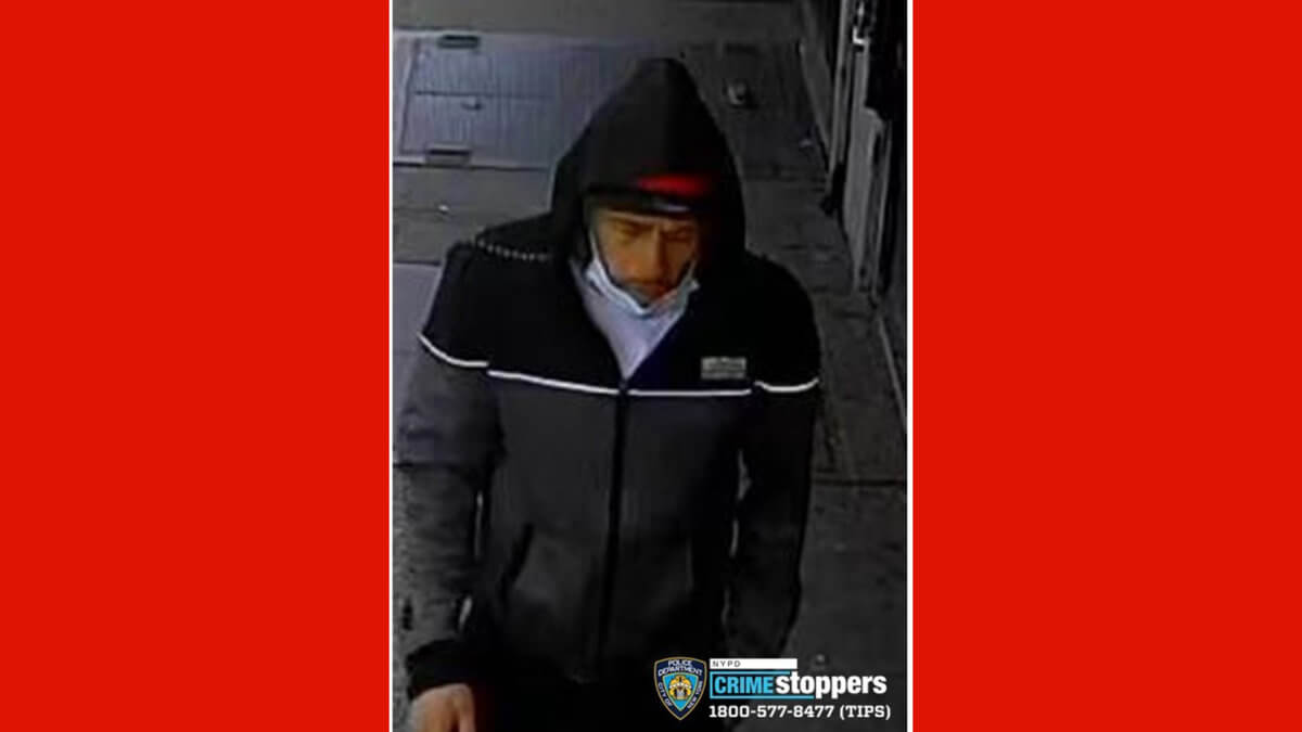 46 precinct assault bronx