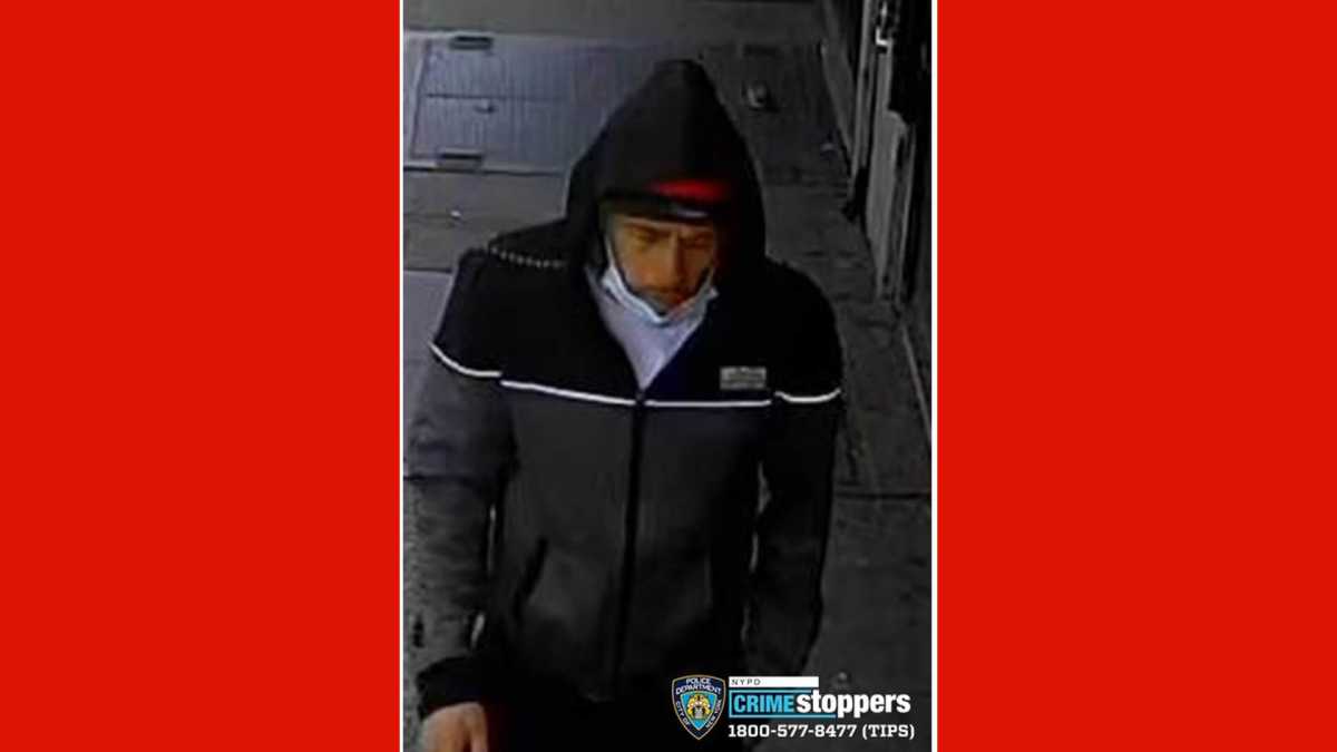 46 precinct assault bronx