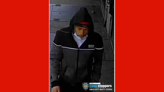 46 precinct assault bronx