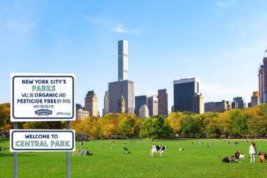 New York City Central Park with cloud and blue sky