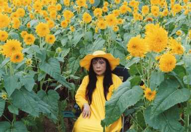 sunflower_kusama_2000_high