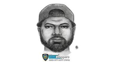 9 pct assault police sketch