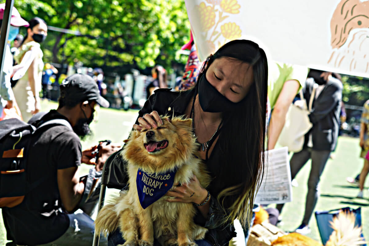 'Care Fair' in Chinatown promote self-defense and a rebounding neighborhood 4