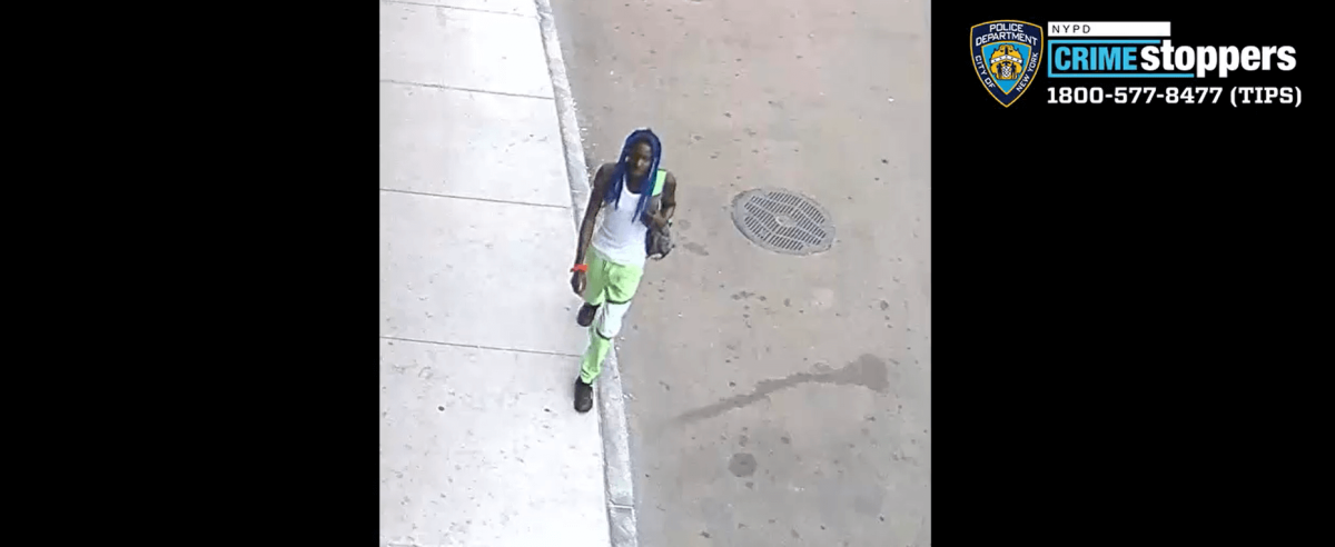 13 precinct assault