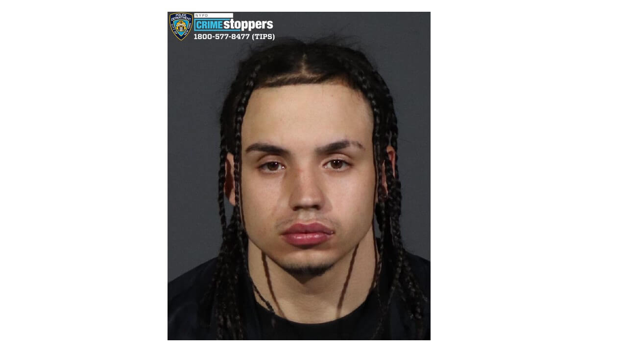 Brooklyn predator used dog to lure away young girls off the street: cops 2