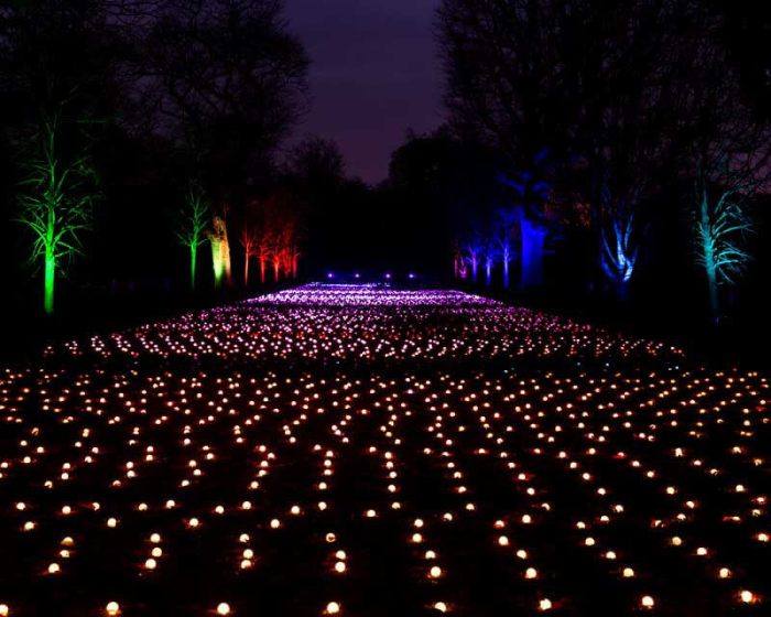 Brooklyn Botanic Garden announces winter Lightscape exhibit 4 BrooklynBotanicGarden