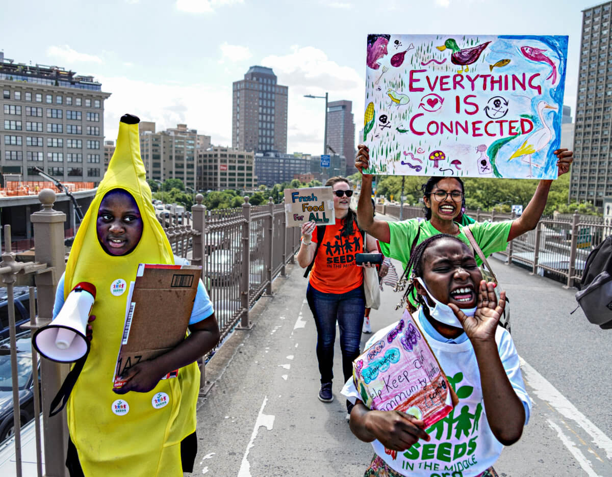 The war against food deserts: Children march over Brooklyn Bridge calling for healthier options 6