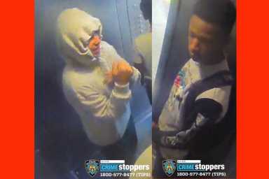 43 pct robbery bronx