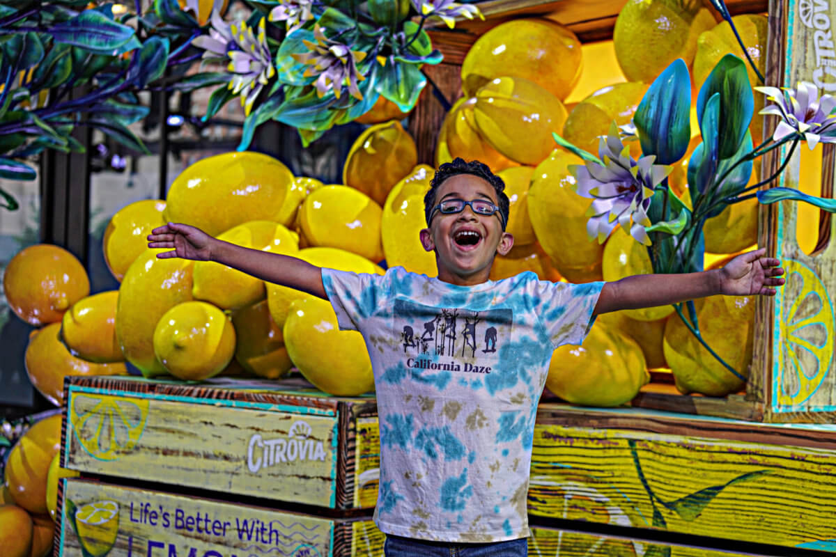 New York's fresh squeeze: A faux lemon forest crops up in Midtown 4