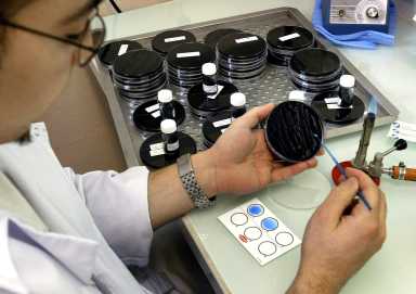 A laboratory technician makes an agglutination of Legionella strains from northern France, January 6..