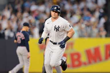 Luke Voit Yankees