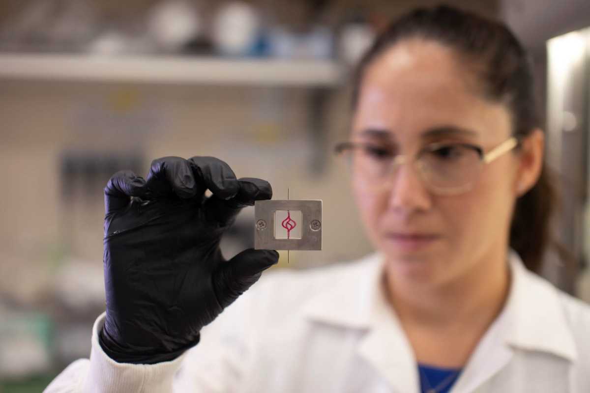 Cancer patients’ own cells used in 3D printed tumours to test treatments
