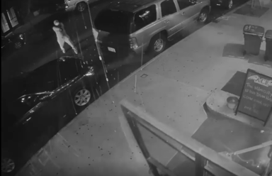 9 pct shooter reckless endangerment